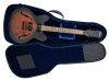 Reunion Blues RBX Semi-hollow guitar Gig Bag